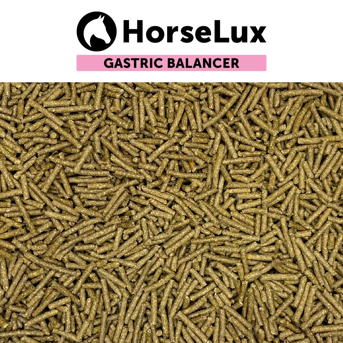 Gastric Balancer