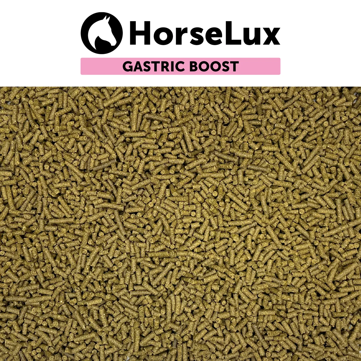 HorseLux Gastric Boost – nærbillede af foderet