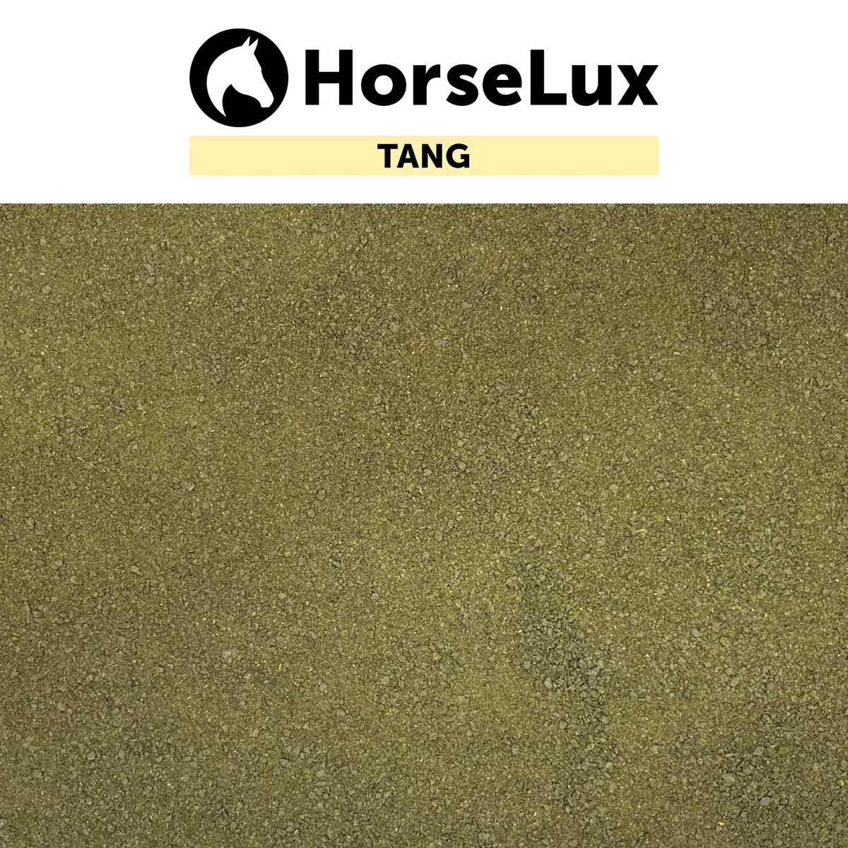 HorseLux Tang